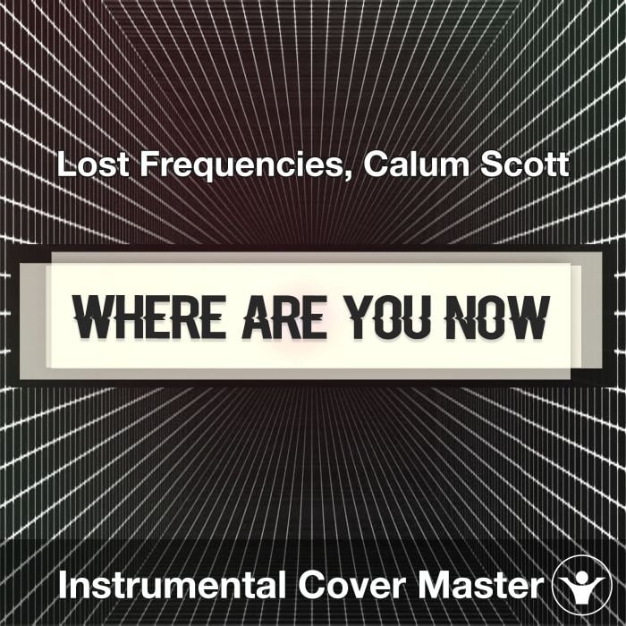 Lost Frequencies & Calum Scott - Where Are You Now (Lyrics) 