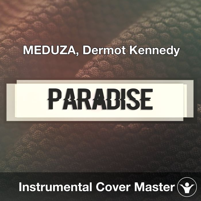Paradise (Lyrics)  Meduza feat. Dermot Kennedy 