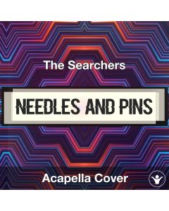Needles and Pins - The Searchers - Acapella Cover