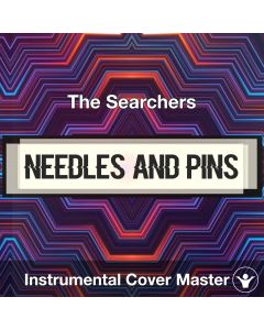 Needles and Pins - The Searchers - Instrumental Cover
