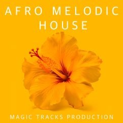 Afro Melodic House (Ableton Live Template+Mastering)